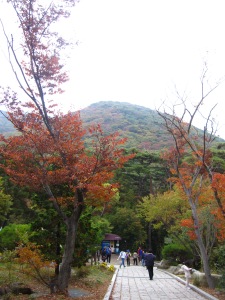 fall in Korea